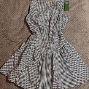 Wild Fable Navy and White Dress